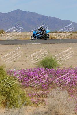 media/Mar-12-2023-SoCal Trackdays (Sun) [[d4c8249724]]/Turn 15 Inside Bloom (130pm)/